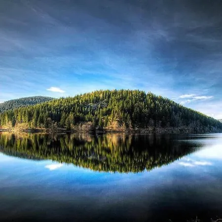 Cozy Paradies -erholung Mit Pool & Sauna Schluchsee